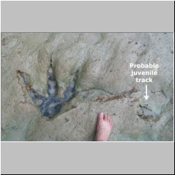 100_0971 (2009-28-07)m.JPG